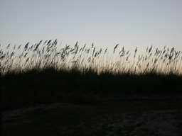 Album: Fort Clinch